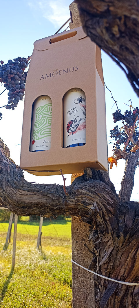 Confezione degustazione